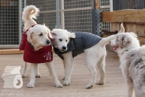 Hutamix-25-03-w24-164