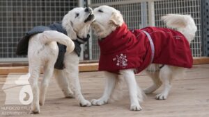 Hutamix-25-03-w24-165