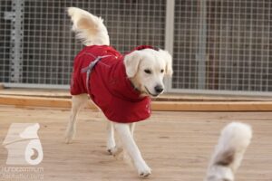 Hutamix-25-03-w24-166