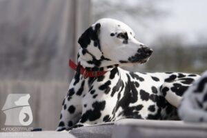 Hutamix-25-03-w24-169