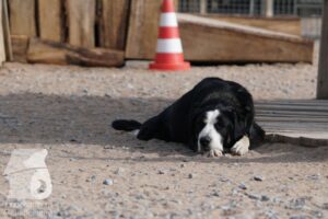 Hutamix-25-03-w24-170