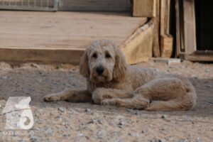 Hutamix-25-03-w24-171