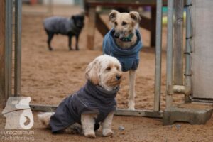 Hutamix-25-03-w24-172