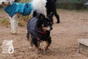 Hutamix-25-03-w24-173