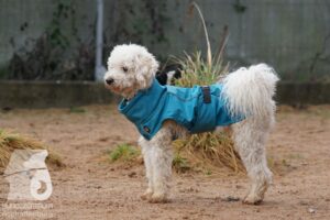 Hutamix-25-03-w24-174