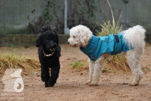 Hutamix-25-03-w24-175