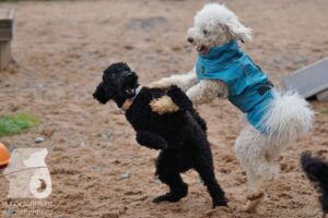 Hutamix-25-03-w24-176