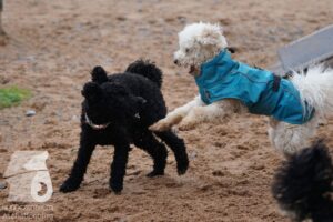 Hutamix-25-03-w24-177