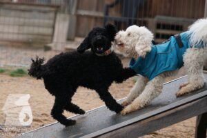 Hutamix-25-03-w24-178