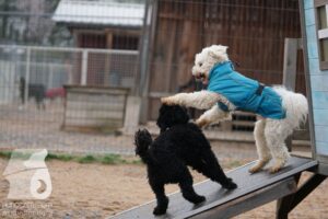 Hutamix-25-03-w24-179