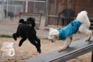 Hutamix-25-03-w24-180