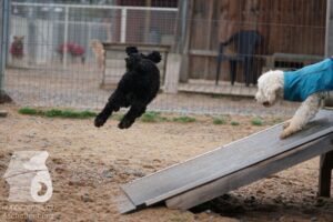 Hutamix-25-03-w24-181