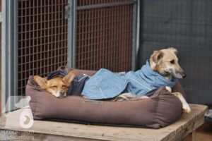 Hutamix-25-03-w24-182