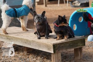 Hutamix-25-03-w24-183