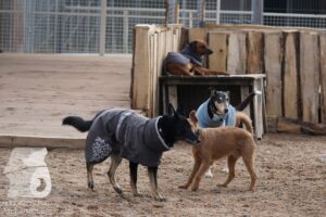 Hutamix-25-03-w24-184