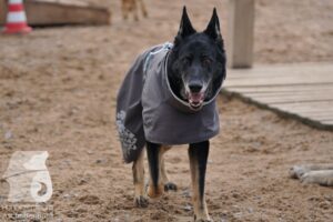 Hutamix-25-03-w24-185