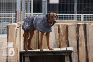 Hutamix-25-03-w24-186