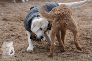 Hutamix-25-03-w24-187