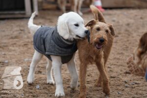 Hutamix-25-03-w24-188