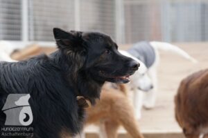 Hutamix-25-03-w24-189