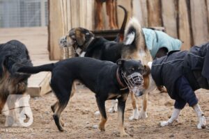 Hutamix-25-03-w24-190