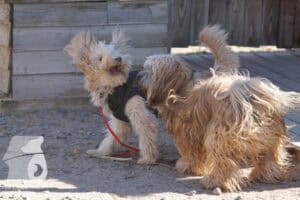 Hutamix-25-03-w24-191