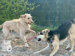 Hutamix-25-04-w14-001