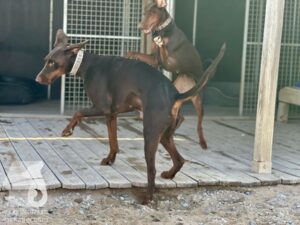 Hutamix-25-04-w14-002