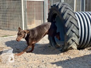 Hutamix-25-04-w14-003