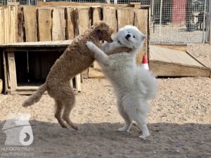 Hutamix-25-04-w14-004