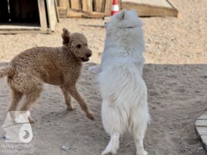 Hutamix-25-04-w14-006