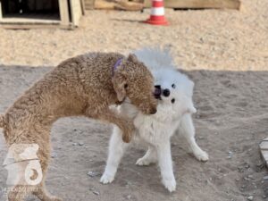 Hutamix-25-04-w14-007