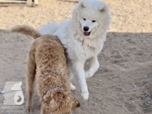 Hutamix-25-04-w14-008