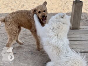 Hutamix-25-04-w14-009