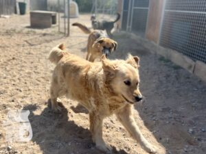 Hutamix-25-04-w14-011