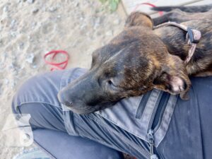 Hutamix-25-04-w14-012