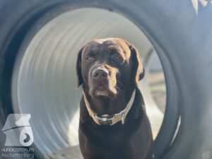 Hutamix-25-04-w14-015