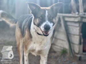 Hutamix-25-04-w14-016