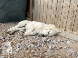 Hutamix-25-04-w14-017