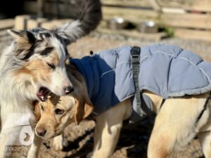 Hutamix-25-04-w14-018