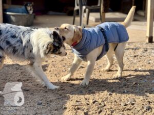 Hutamix-25-04-w14-019