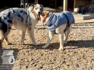 Hutamix-25-04-w14-020