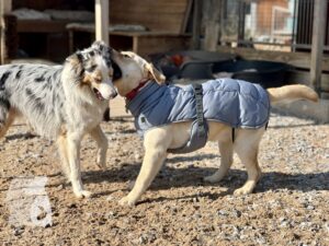 Hutamix-25-04-w14-021