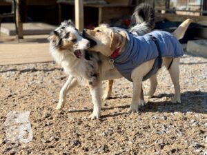 Hutamix-25-04-w14-023