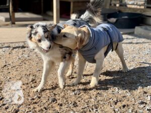 Hutamix-25-04-w14-024