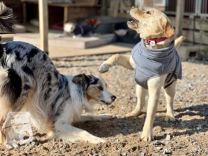 Hutamix-25-04-w14-025