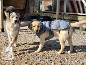 Hutamix-25-04-w14-026