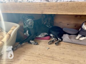 Hutamix-25-04-w14-027