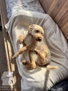 Hutamix-25-04-w14-028