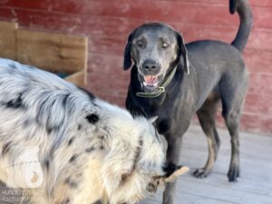 Hutamix-25-04-w14-029